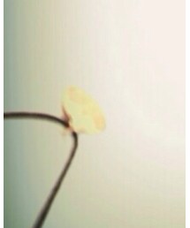 Marc by Marc Jacobs | ネックレス