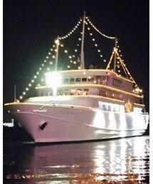 VANQUISH | シャツ/ブラウス