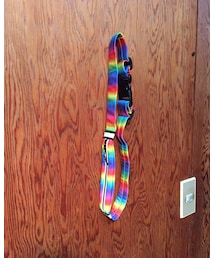 CAPTAIN STAG | 意外と便利なランニングベルト(ボディバッグ/ウエストポーチ)