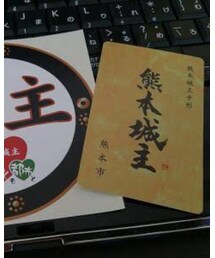 一口城主制度 | 個人的に別名風雲パスト城と呼んでみたい(その他)