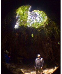 ウィルソン株 | なんてロマンチック！！(その他)