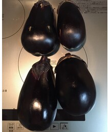 茄子 | 牛と言うより、ミニバンサイズ。(その他)