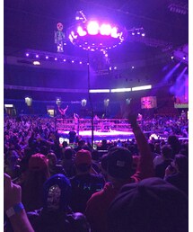 ルチャリブレ | 技の美しさは勿論、ド派手演出もやばい(その他)