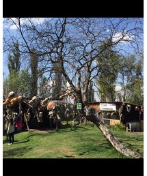 閲覧注意 | 呪われた島 人形島(その他)