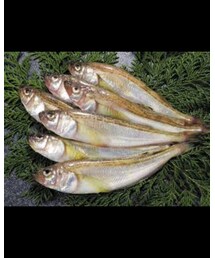 ハタハタ | 魚に雷とも書くらしい。(その他)