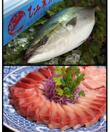 氷見の寒ブリ | 誰か送って下さい。崇めます。食べた過ぎる(その他)