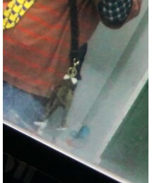 这是一只青蛙 | その他