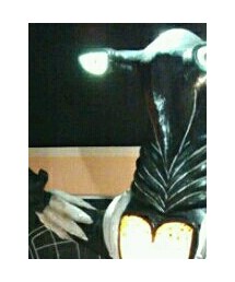 ペガッサ星人 | その他