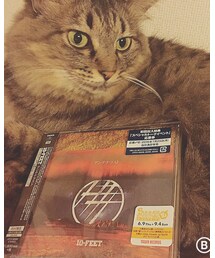 10-FEET | アンテナラスト(その他)