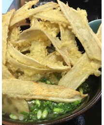 ごぼう天うどん | その他