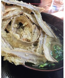 本日のランチ | その他