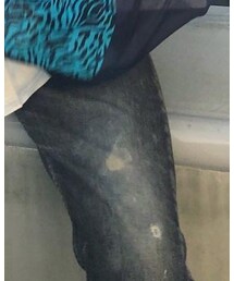 Levi's | デニムパンツ