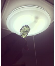 #オーダメイドネックレス【モルダバイト】 | オーダメイドネックレス【モルダバイト】(ネックレス)