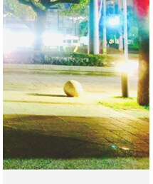 #玉⚪️ | その他