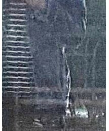 Levi's | デニムジャケット