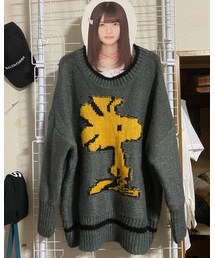 ZARA | ウッドストック(ニット/セーター)