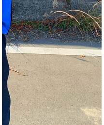 GU | デニムパンツ