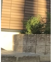 Levi's | デニムパンツ