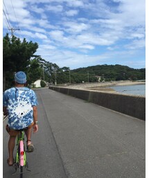 佐久島 | その他