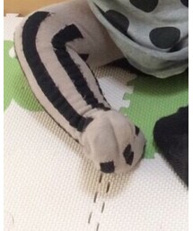 korea | レギンス/スパッツ