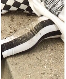 korea | レギンス/スパッツ