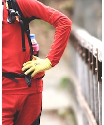 野鳥の会 | 手袋