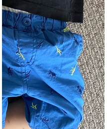 green label relaxing | その他パンツ