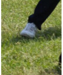 adidas Originals | スニーカー