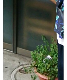 GU | チノパンツ