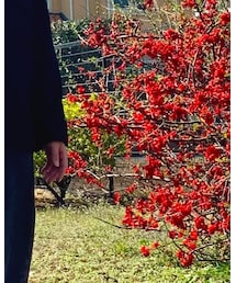 無印良品 | シャツ/ブラウス