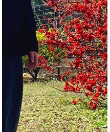 ZARA | デニムパンツ