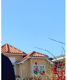 LE TALON | サングラス