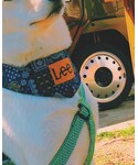Lee(リー)の「アクセサリー(チョーカー)」