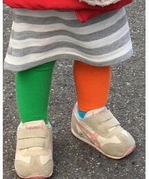 Happy Socks | タイツ/ストッキング
