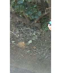 BLOC | Tシャツ/カットソー