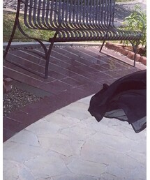 MO&CO | スカート