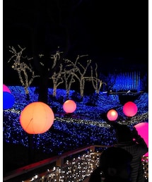 相模湖プレジャーフォレスト | その他