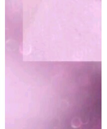 STUSSY | パーカー