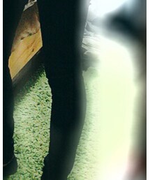 Bershka | その他パンツ