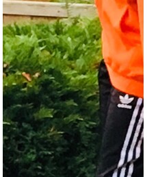 adidas Originals | その他パンツ