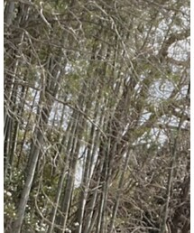 Instagram→@ha_wear39 | その他