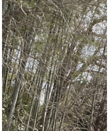 是非フォローよろしくお願いします🙇‍♂️🥺 | その他