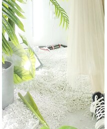 CONVERSE | シューズ