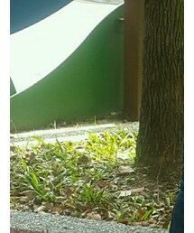 UNIQLO | トップス