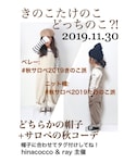 秋サロペ2019○○派告知の「インテリア(ポスター/アート)」