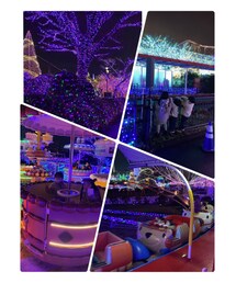🎄 | 本