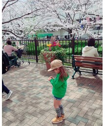 桜の花びら広い💓笑 | その他