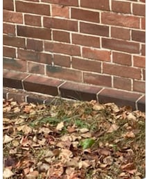 GU | ワンピース