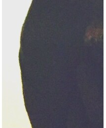 COMME CA ISM | ニット/セーター