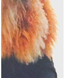 HUDSON | ダウンベスト